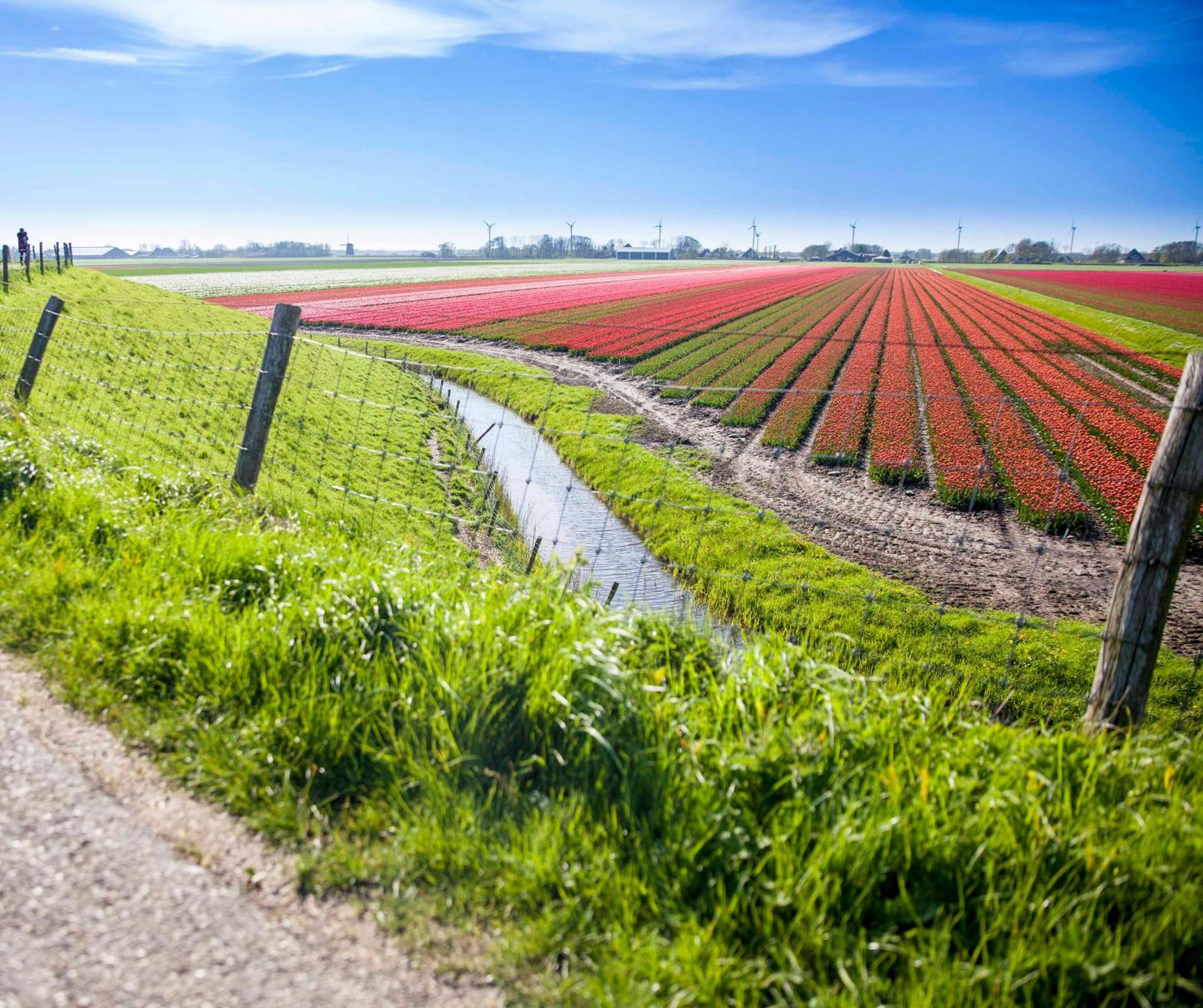 Vakantiehuisje Pluim 4 Personen - Zeezand Recreatie Stolpen Esterno foto